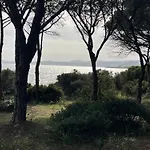 Marghe