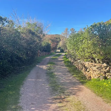 Marghe * ブドーニ