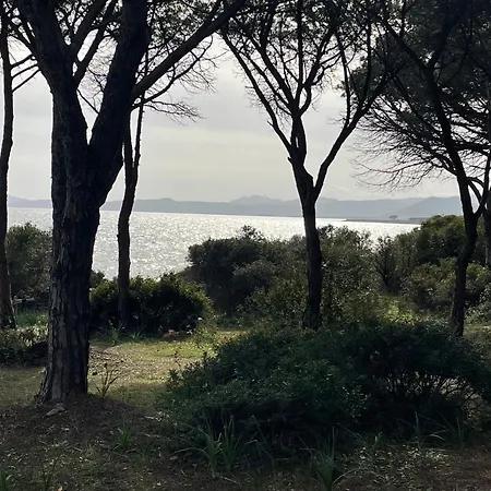 Marghe
