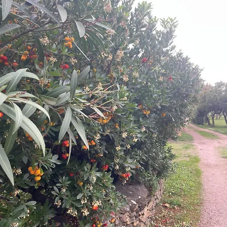 Nyaraló Marghe